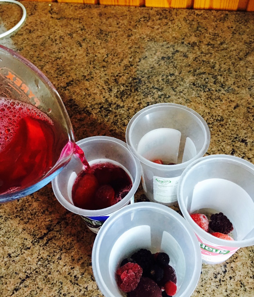 Make Your Own 1/2 Syn Jelly Fruit Pots Re Use Your Hartleys Pots