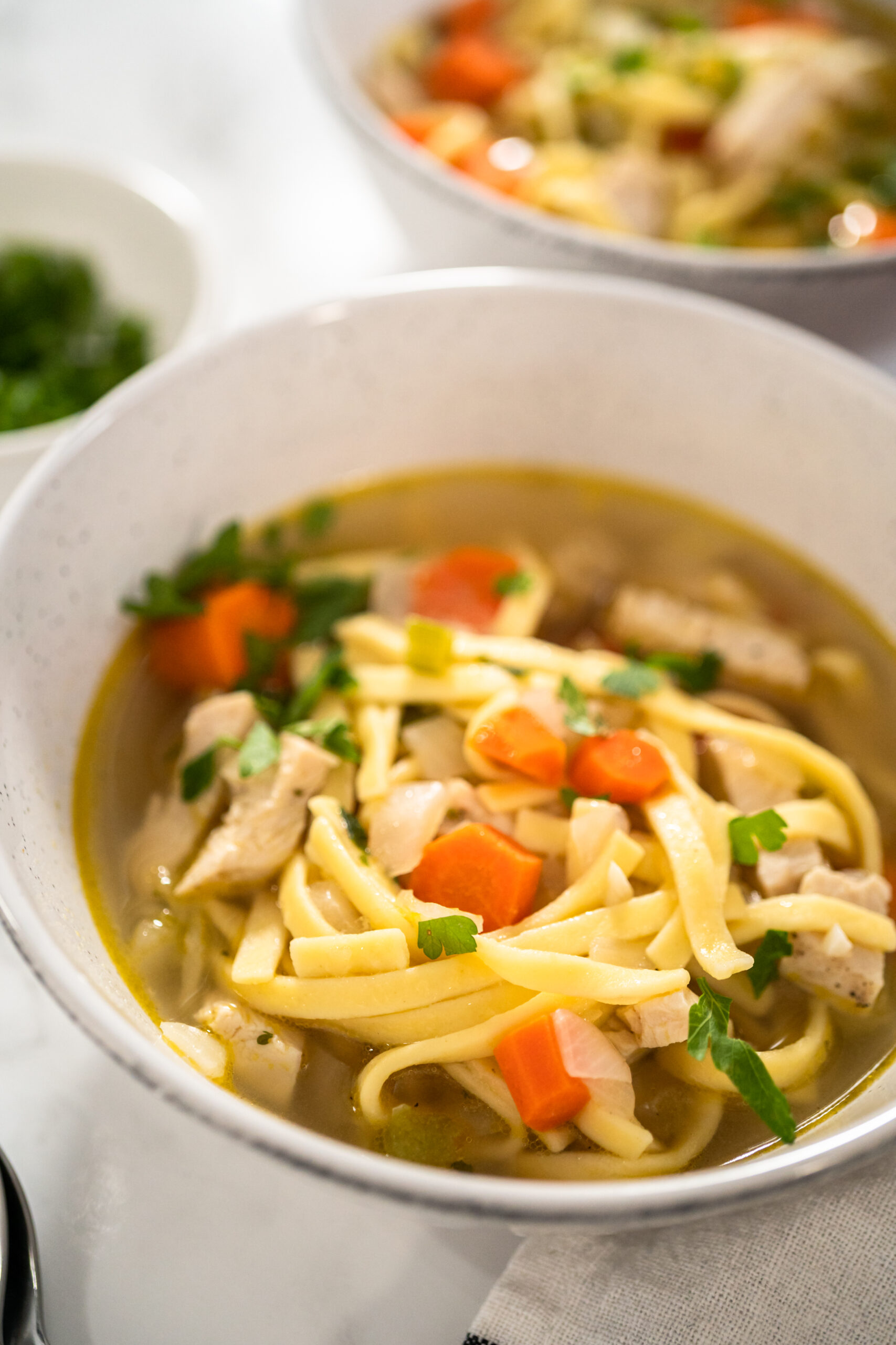 Best Ever Chicken Noodle Soup | Slimming World Friendly Recipe – Fatgirlskinny.net